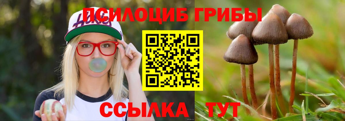 Омск  Псилоцибиновые грибы мухоморы  дарнет шоп  Псилоцибиновые грибы мицелий  Вход с VPN 